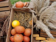 -中国天府农业博览园