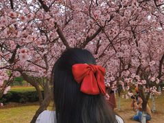 -白塘生态植物园