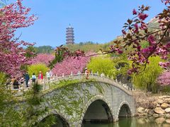 -石岛赤山风景区