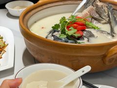 -全乐鱼馆·淳牌有机鱼直营店