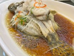 广式蒸鲈鱼-双子楼大酒店(城开国际写字楼店)