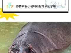 -盒马鲜生(领丰汇店)