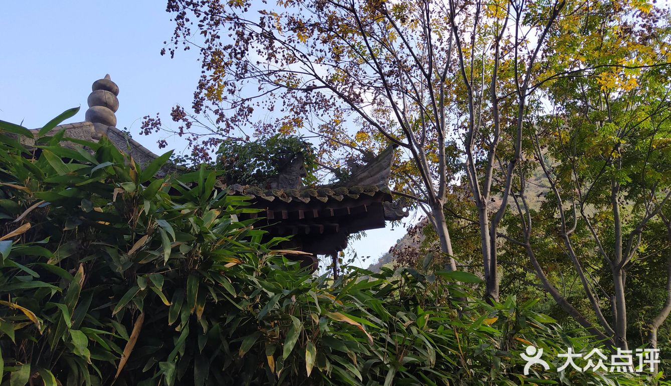 古观音禅寺  