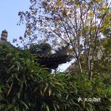 古观音禅寺  