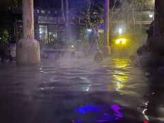 -张家港金凤凰度假村温泉