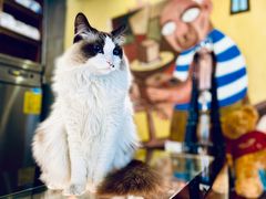 -咖法森林·咖啡  酒吧(天河店)