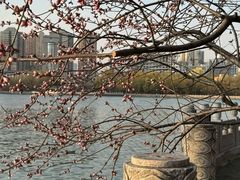 -迎泽公园