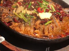-老板恋上鱼(高新万达店)