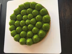 抹茶挞-猫里有甜
