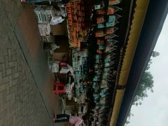 android_upload_pic-大湾区中央湿地公园-十九涌