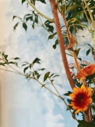 -净漪造型 PURE RIPPLE