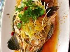 清蒸包公鱼-常家活海鲜小吃(仅一家无分店)