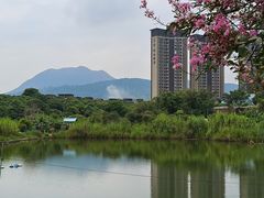 -大王岭农庄