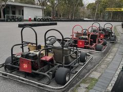 -上海海湾国家森林公园