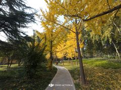 -河南省黄河迎宾馆