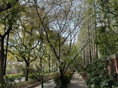 -新江湾城公园