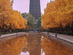 -玲珑塔公园