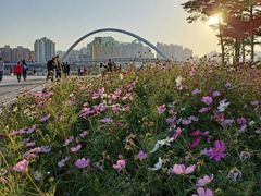 -海心沙亚运公园