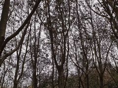 -蜀冈西峰生态公园