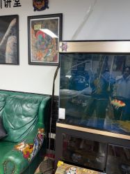 -雕哥的纹身店A3 TATTOO&纹身培训