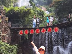 -印象鲵宴·张家界地标美食名片(溪布街店)