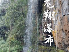 -龙苍沟森林公园