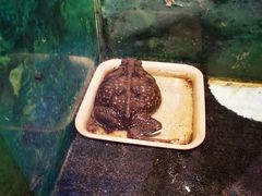 -上海大自然野生昆虫馆