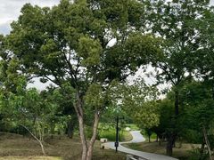 -良渚古城遗址公园