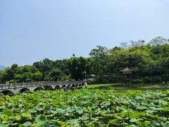 -星湖旅游景区七星岩