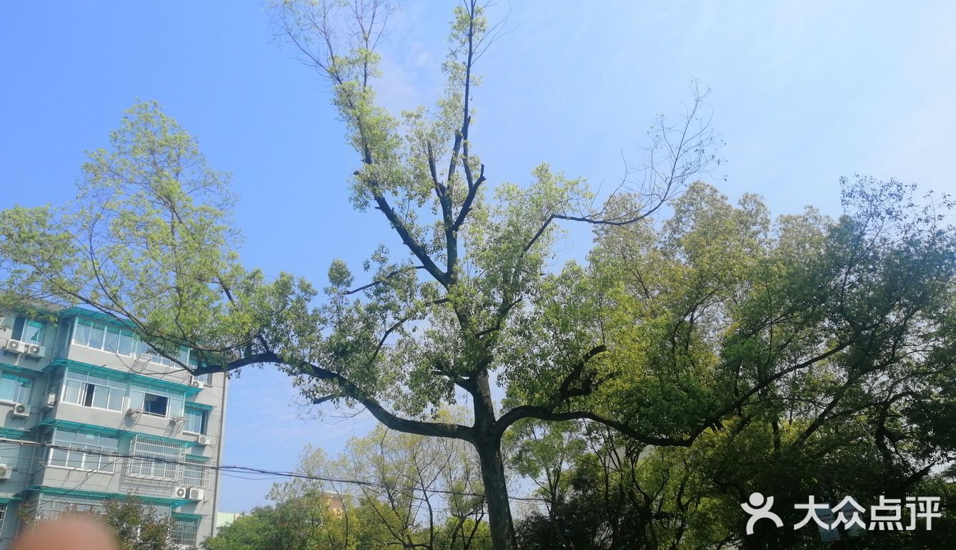 空气中散发得淡淡的青草味！大家在外面玩还是挺多的！
