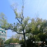 空气中散发得淡淡的青草味！大家在外面玩还是挺多的！