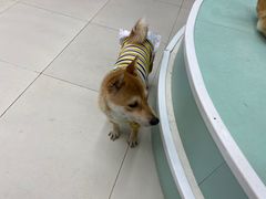 -怪兽屋·羊驼·猫咖·狗咖(俊华广场店)