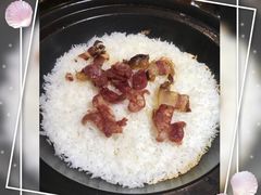 -探窝·竹笙椰子鸡(杨箕店)