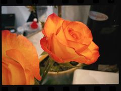 -WATER CAFE(广厦店)