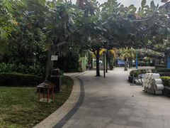 -三亚亚龙湾天域度假酒店