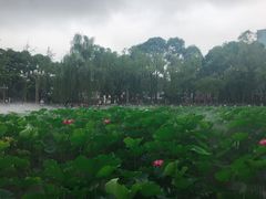 -四川大学(望江校区)