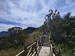 -大岭沟猕猴桃谷风景区