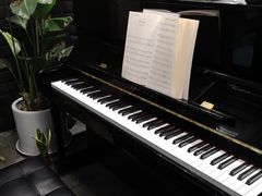 -Melody Mentor音乐私教馆(朝外·悠唐店)