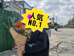 -三圣花乡旅游区