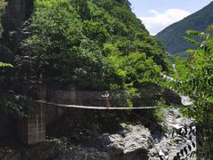 -黑河国家森林公园