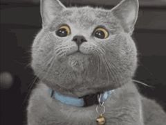 -七号私厨·百年洋楼