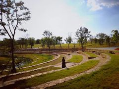 -盘龙城国家考古遗址公园