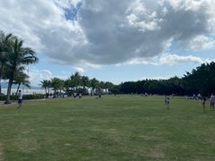 -福田红树林生态公园