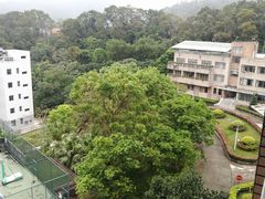 -银湖山郊野公园-相思林