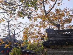 -中山詹园