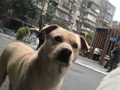 -抚琴第一烤(抚琴地铁站A口店)