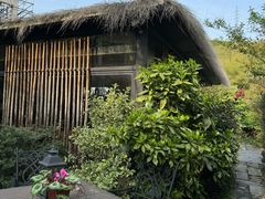 -看见远方·莫干遥远的山民宿