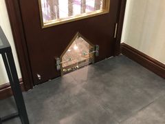 -宠爱国际动物医院· 猫科· 外科·中兽医(长白店)