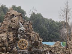 -合肥野生动物园