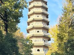 -灵谷景区
